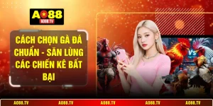 Cách chọn gà đá