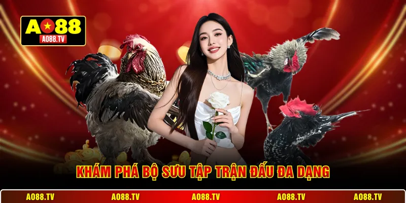 Khám phá bộ sưu tập trận đấu đa dạng