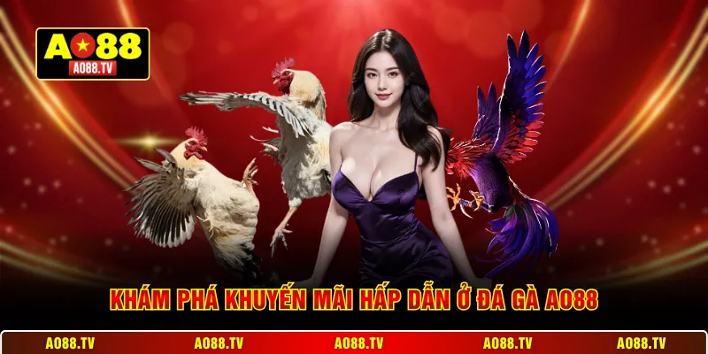 Khám phá khuyến mãi hấp dẫn ở đá gà AO88