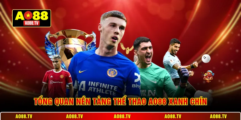 Tổng quan nền tảng thể thao AO88 xanh chín